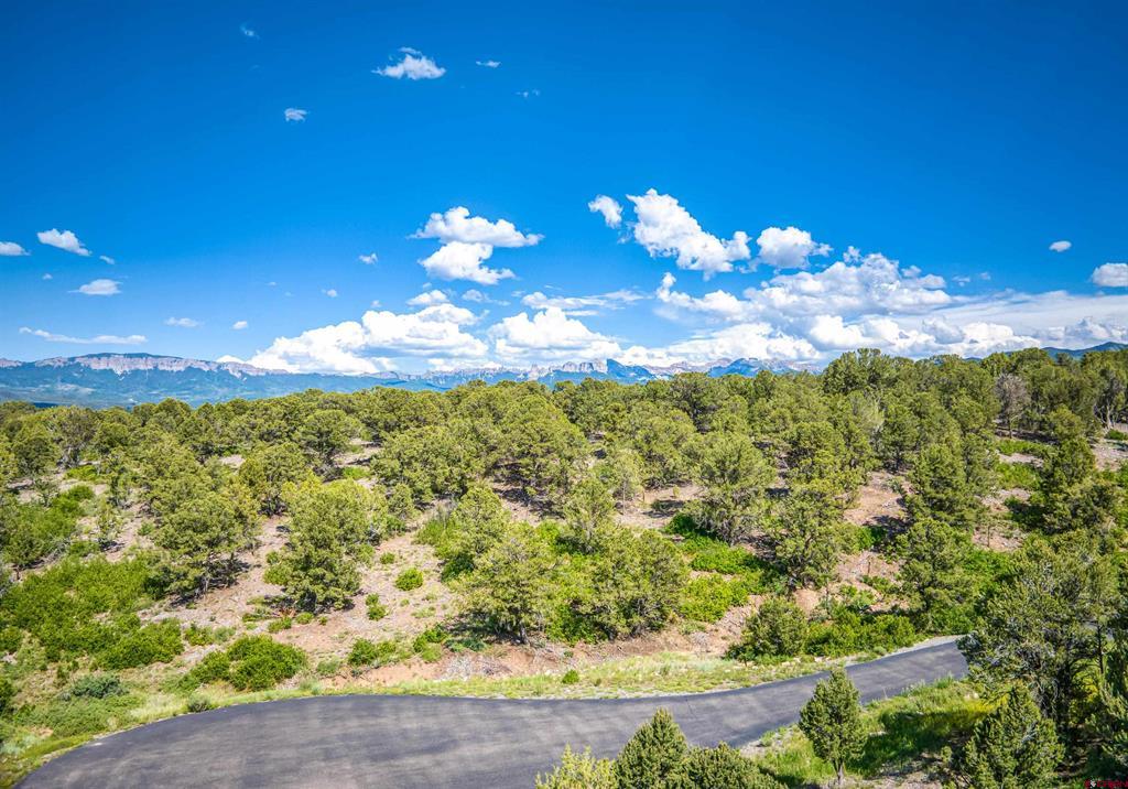 Lot 9 Pointe Escape Drive Ridgway CO 81432