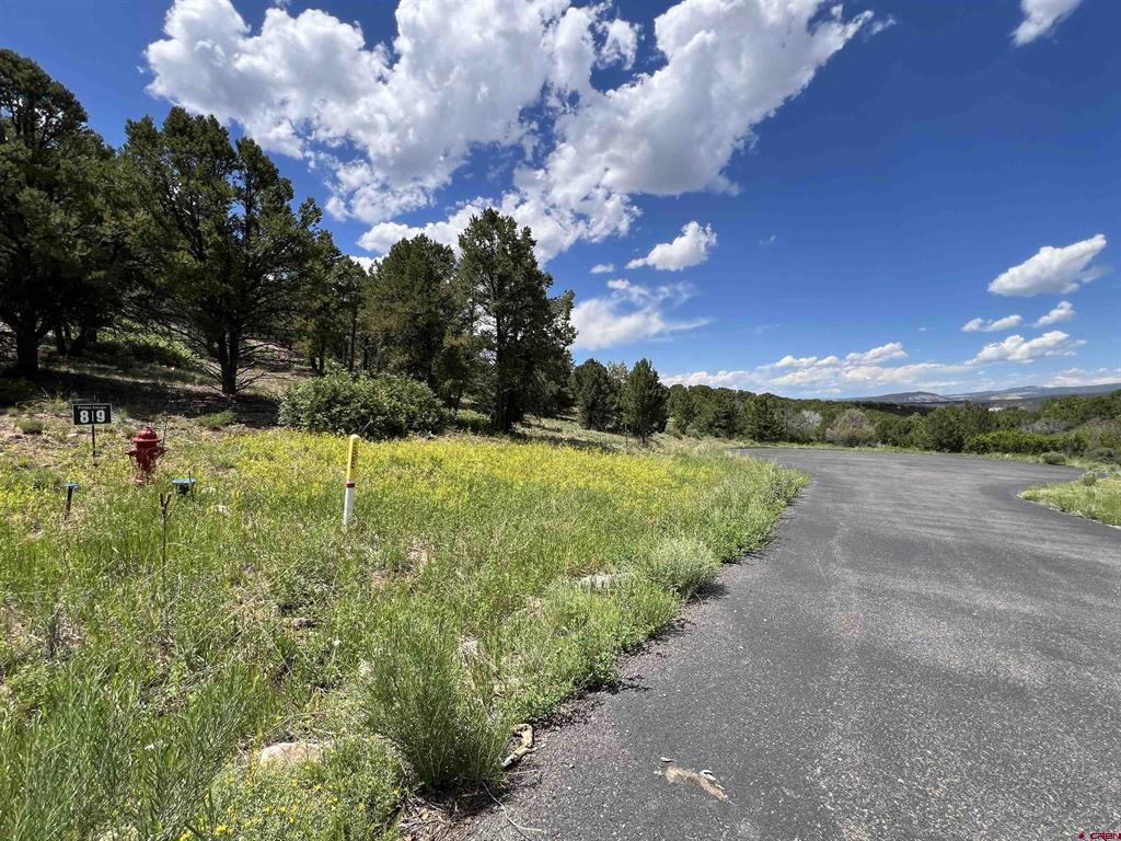 Lot 9 Pointe Escape Drive Ridgway CO 81432
