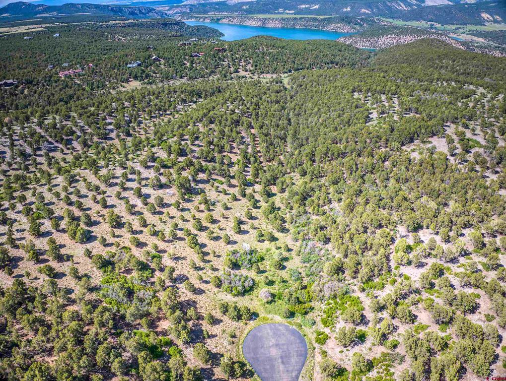 Lot 9 Pointe Escape Drive Ridgway CO 81432