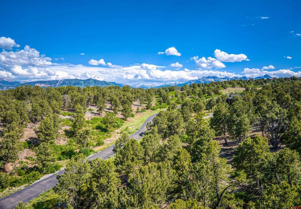 Lot 9 Pointe Escape Drive Ridgway CO 81432