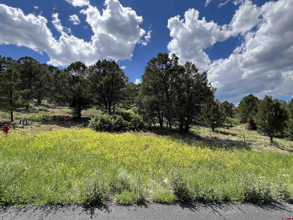 Lot 9 Pointe Escape Drive Ridgway CO 81432