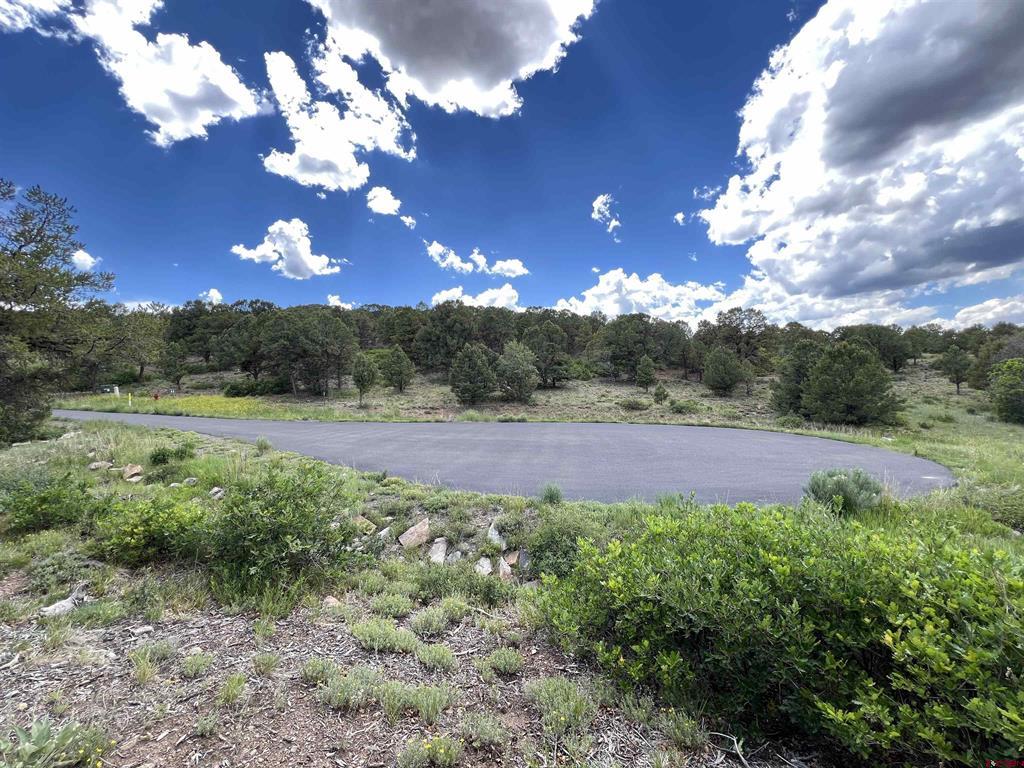 Lot 9 Pointe Escape Drive Ridgway CO 81432