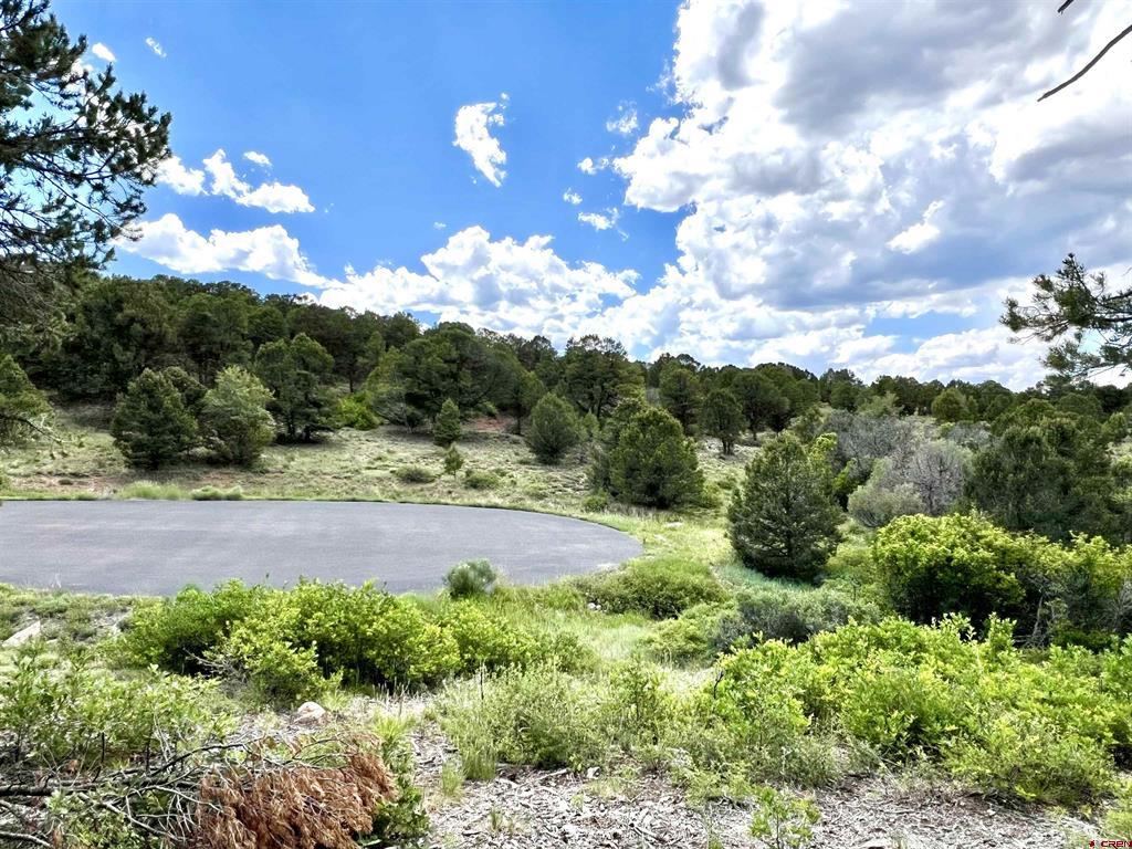 Lot 9 Pointe Escape Drive Ridgway CO 81432