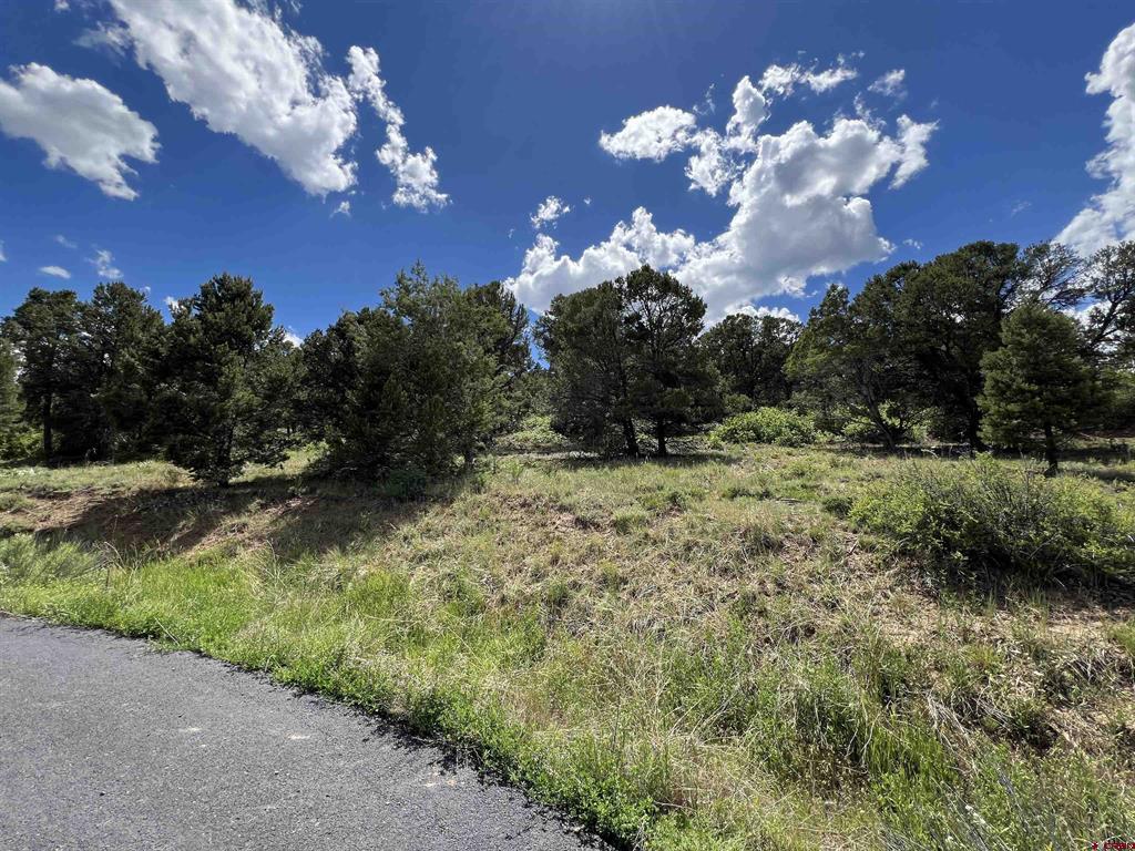 Lot 9 Pointe Escape Drive Ridgway CO 81432