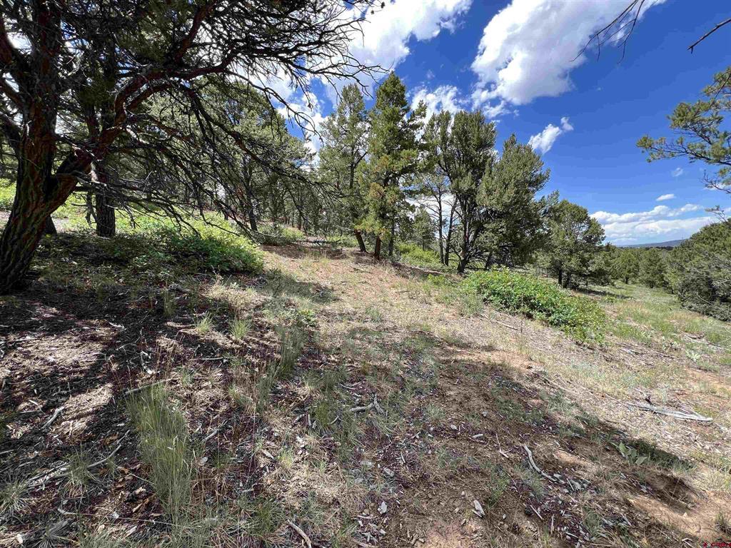 Lot 9 Pointe Escape Drive Ridgway CO 81432
