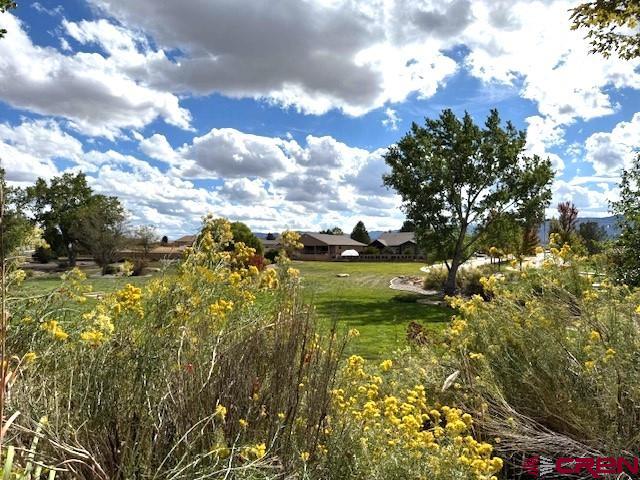 Lot 92 Jennings Drive Cortez CO 81321