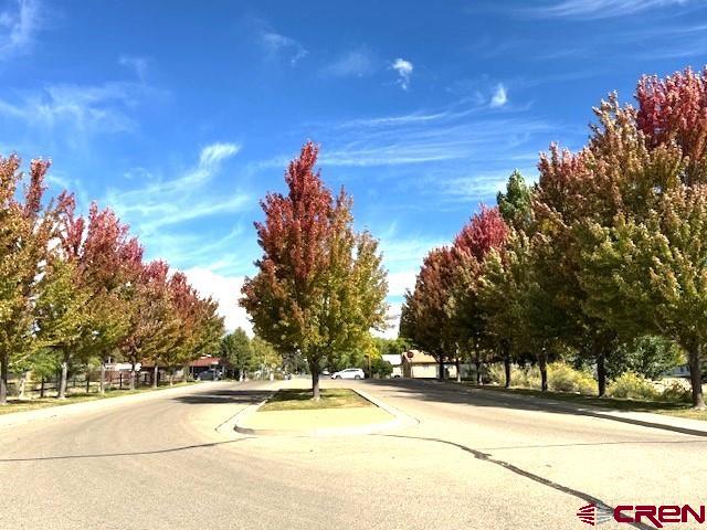 Lot 92 Jennings Drive Cortez CO 81321