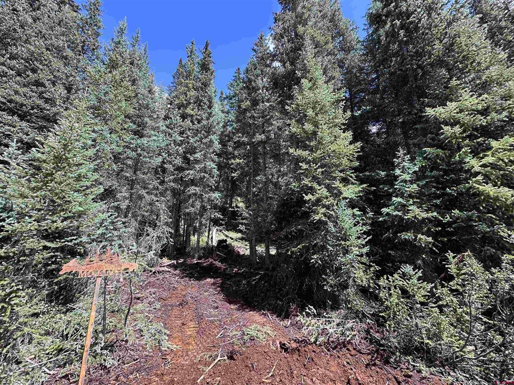 Lot 9 Overland Estates, Cr 110 Silverton CO 81433