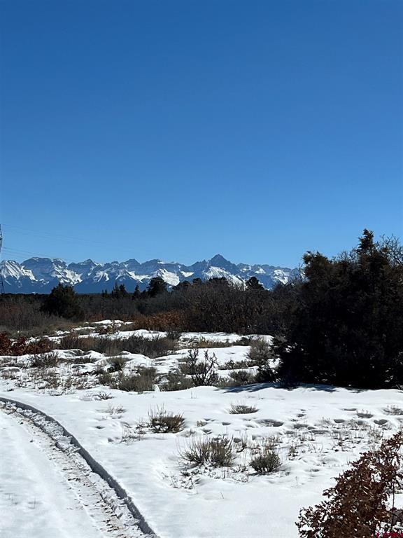 Tdb Homestead Government Springs Road Roads Montrose CO 81403