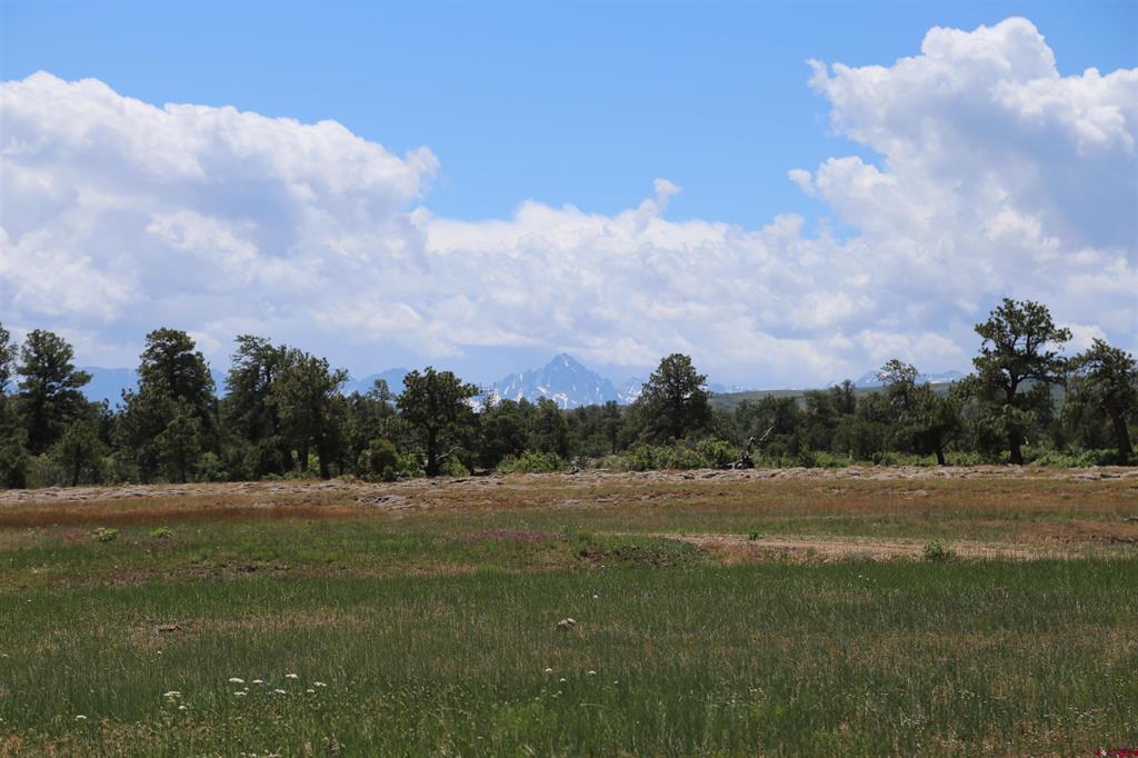 Tdb Homestead Government Springs Road Roads Montrose CO 81403