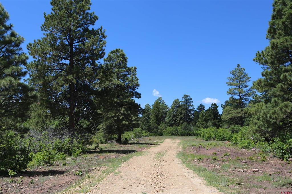 Tdb Homestead Government Springs Road Roads Montrose CO 81403