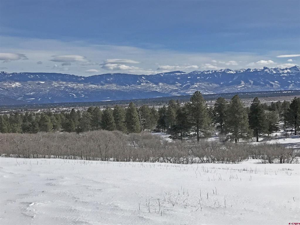 Tdb Homestead Government Springs Road Roads Montrose CO 81403