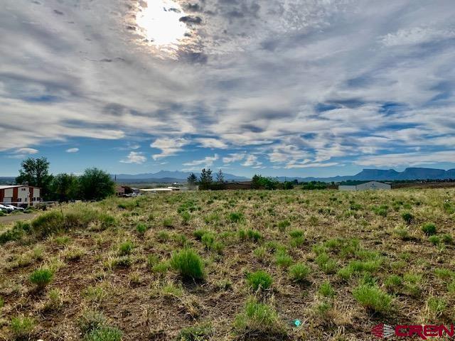 Lot 11 B Industrial Road Cortez CO 81321