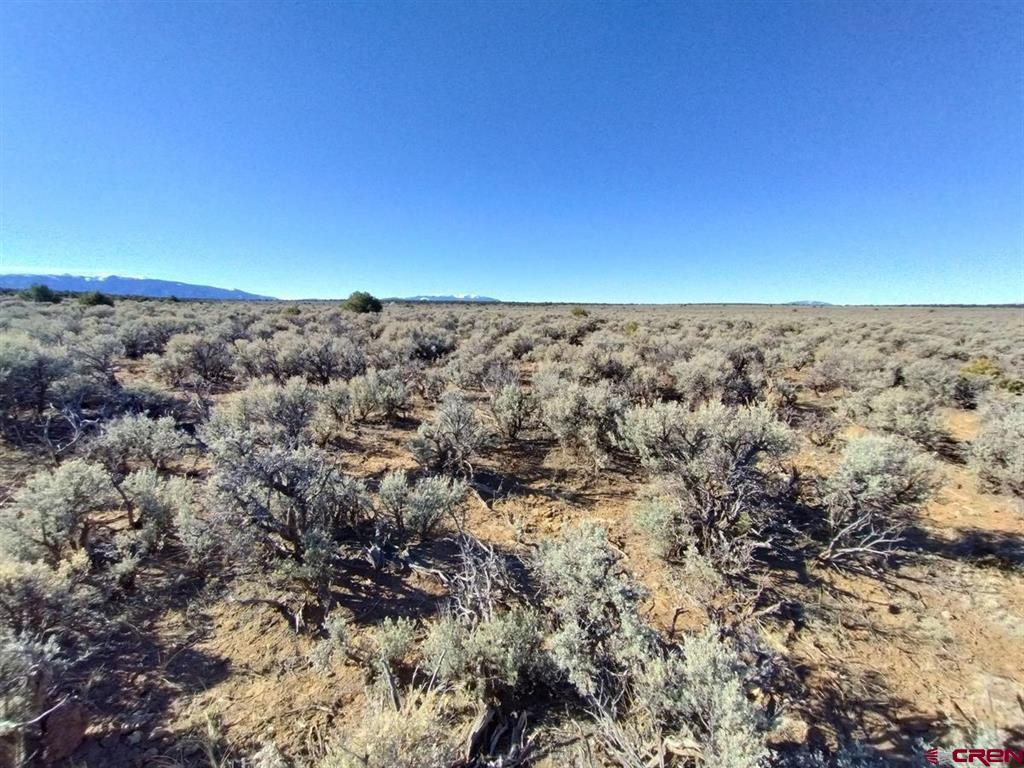 15749 Highway 285 Saguache CO 81149