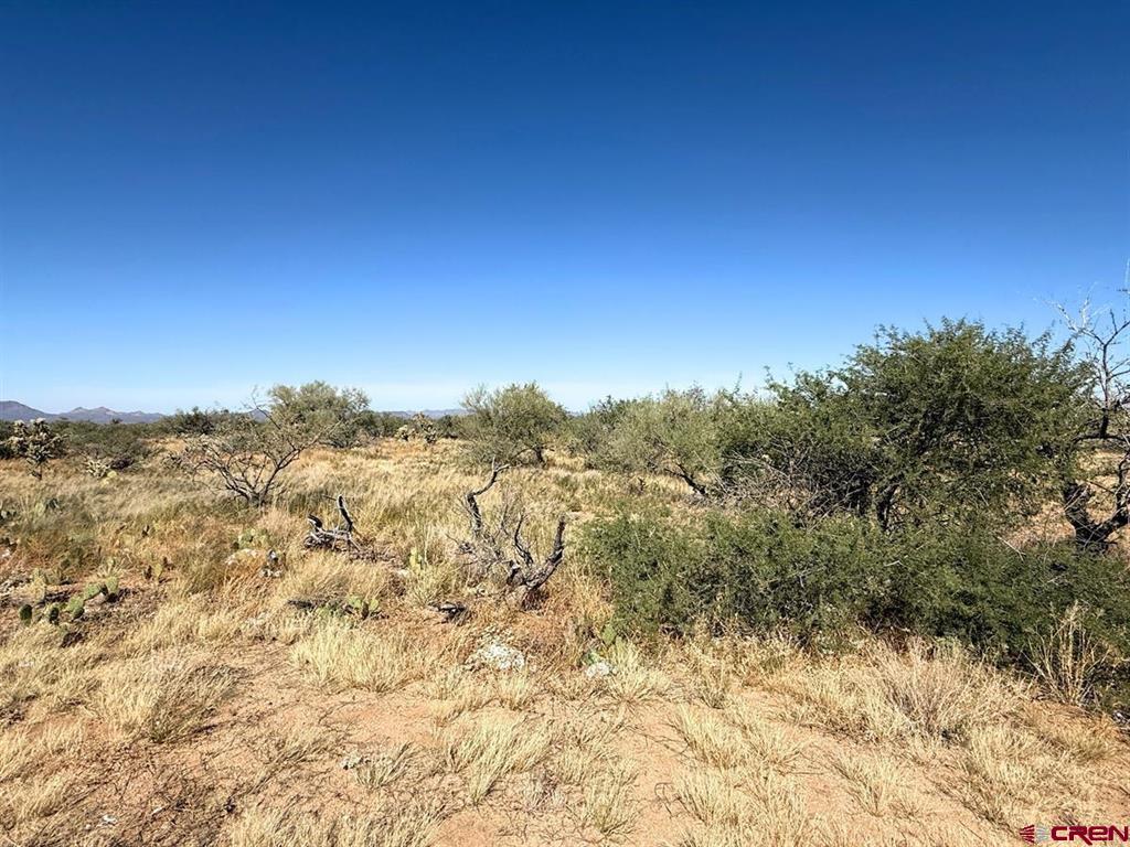 15749 Highway 285 Saguache CO 81149