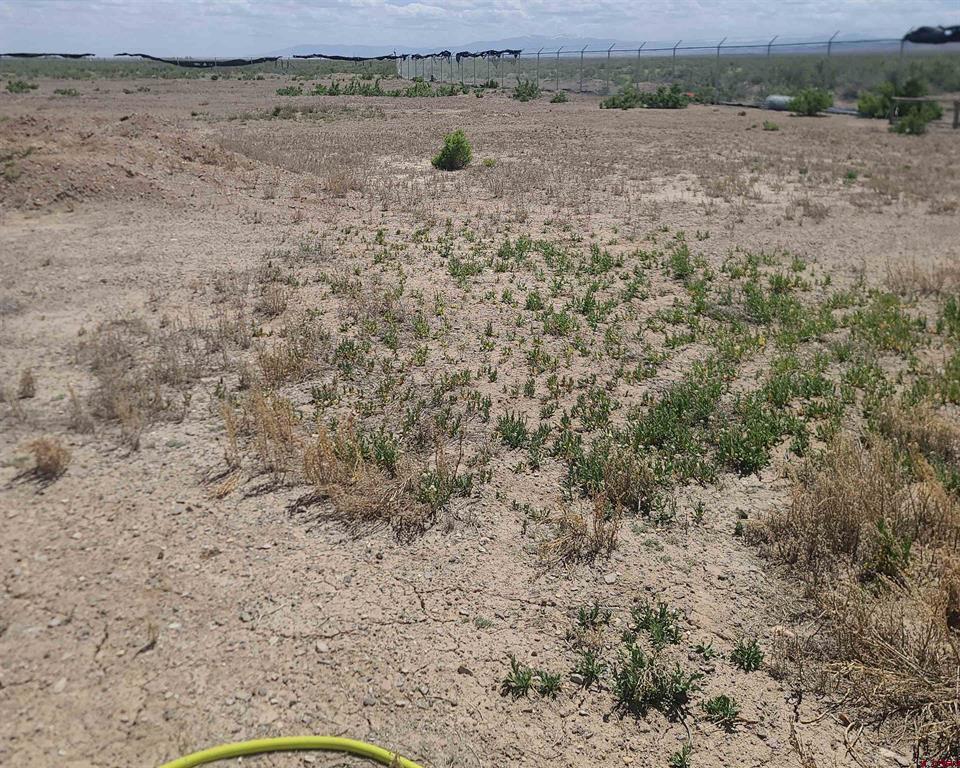 15749 Highway 285 Saguache CO 81149