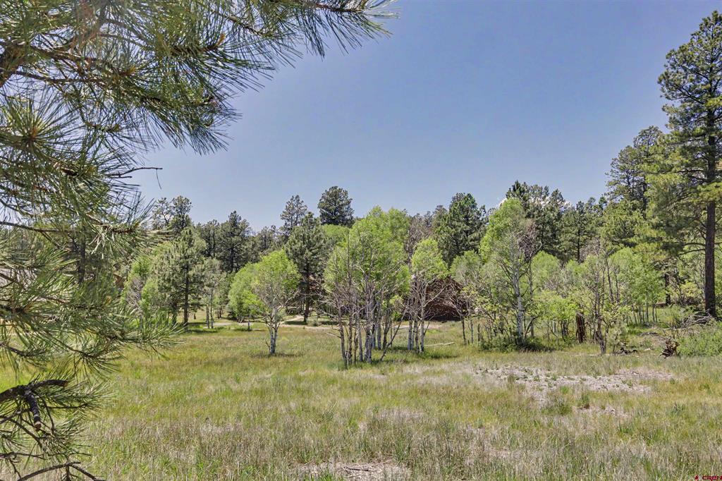 70 Overlook Court Pagosa Springs CO 81147