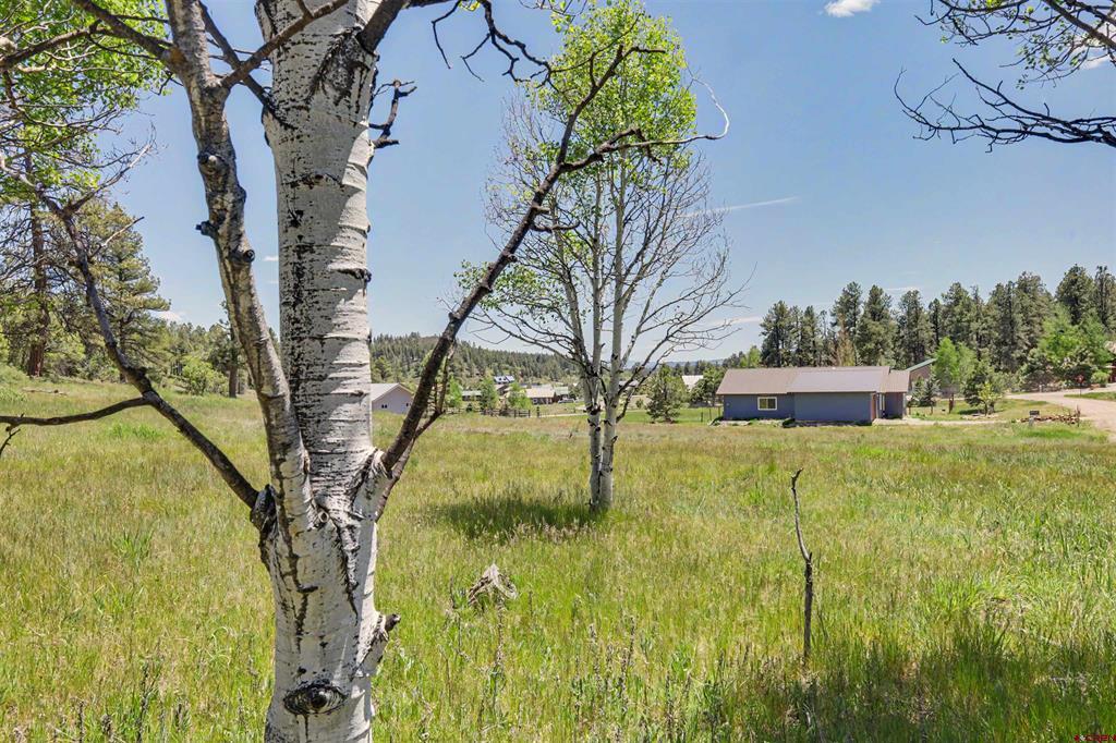 70 Overlook Court Pagosa Springs CO 81147