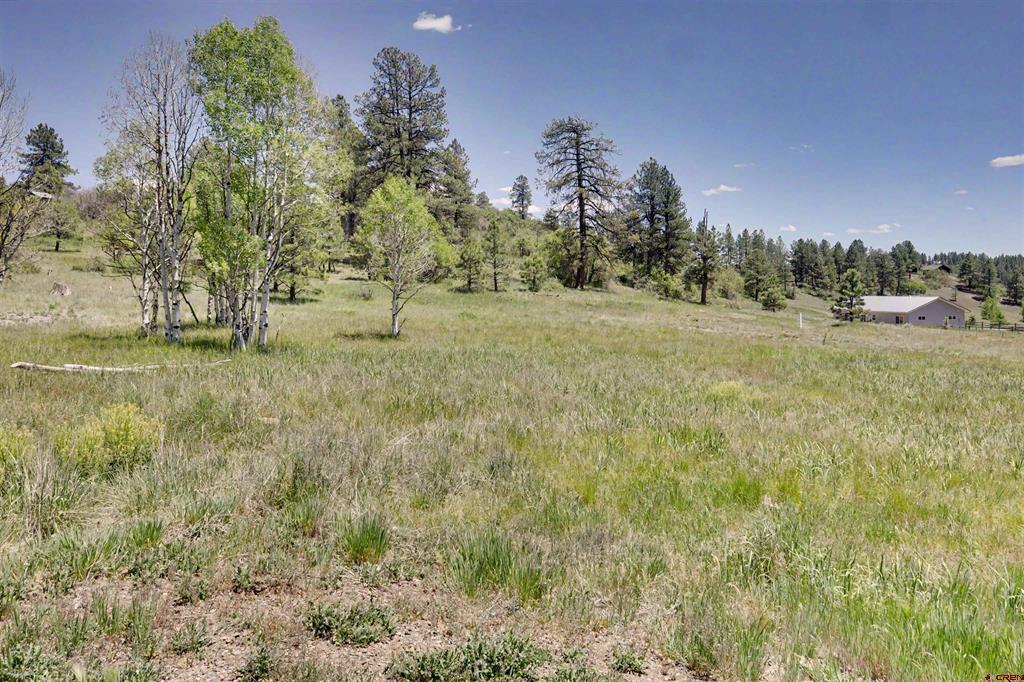 70 Overlook Court Pagosa Springs CO 81147