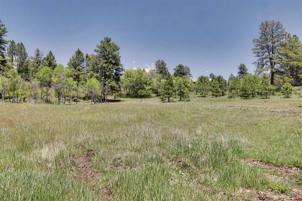 70 Overlook Court Pagosa Springs CO 81147