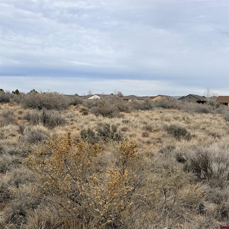 Lot 129 Nicholette Way Cortez CO 81321