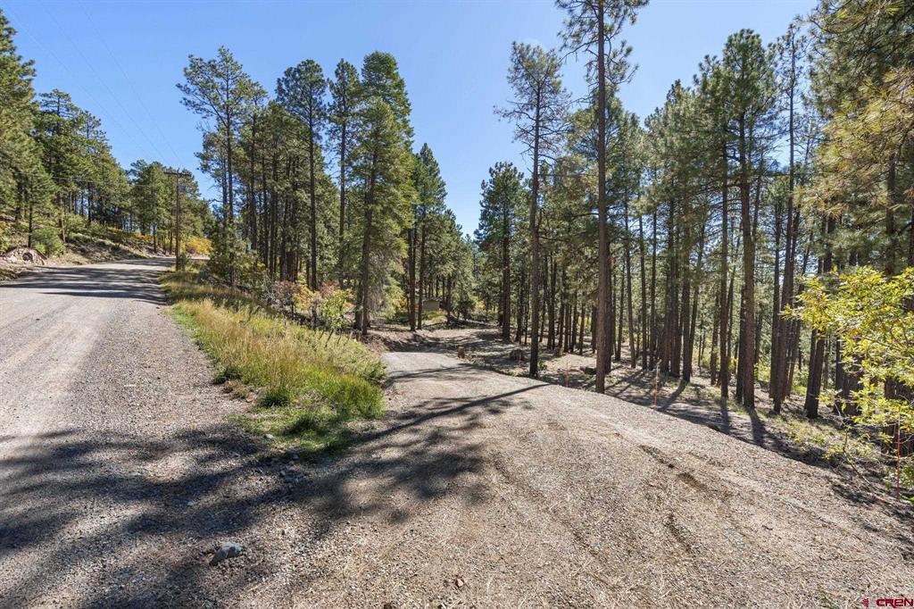 138 Green Ridge Drive Bayfield CO 81122