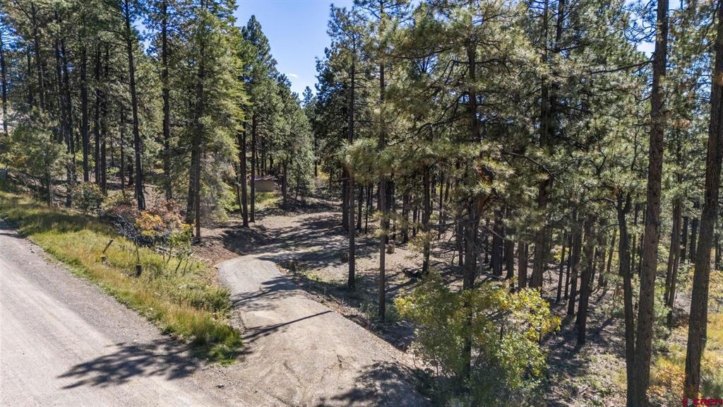 138 Green Ridge Drive Bayfield CO 81122