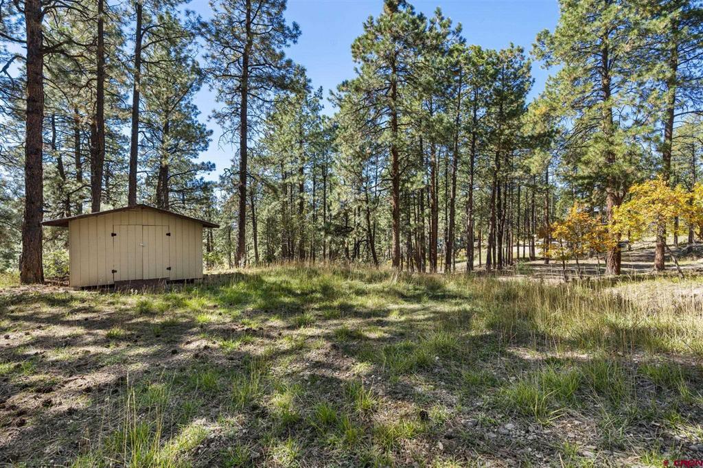 138 Green Ridge Drive Bayfield CO 81122