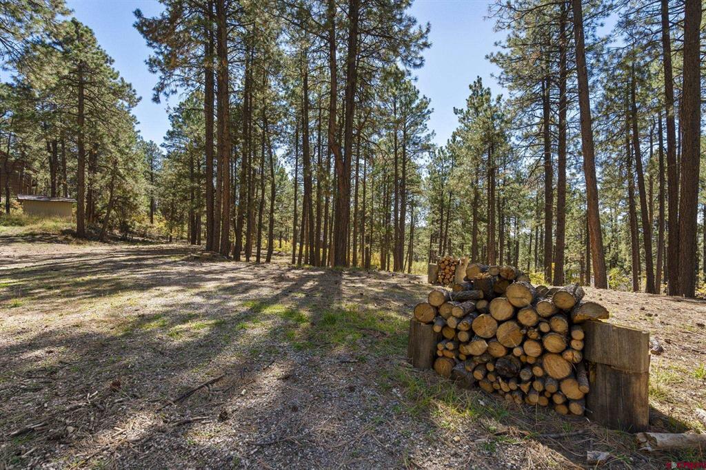 138 Green Ridge Drive Bayfield CO 81122