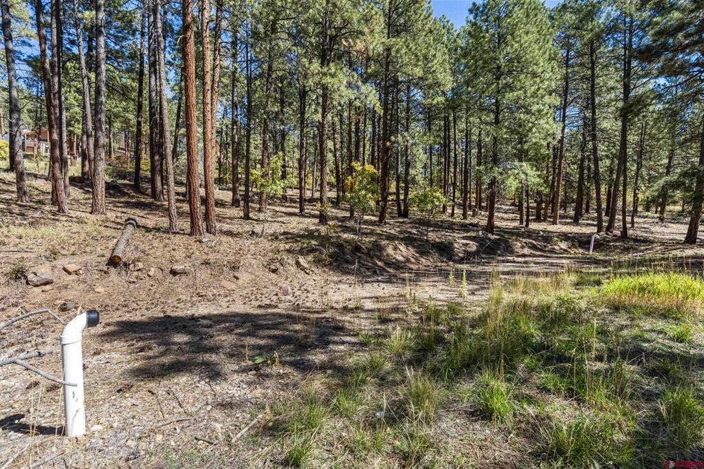 138 Green Ridge Drive Bayfield CO 81122