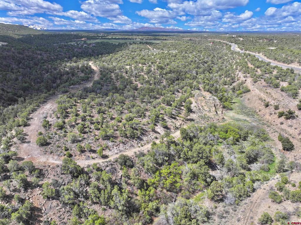 Tbd (Tract 4) Cr 1 Montrose CO 81403