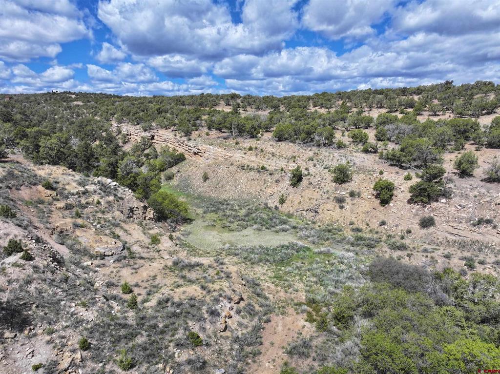 Tbd (Tract 4) Cr 1 Montrose CO 81403