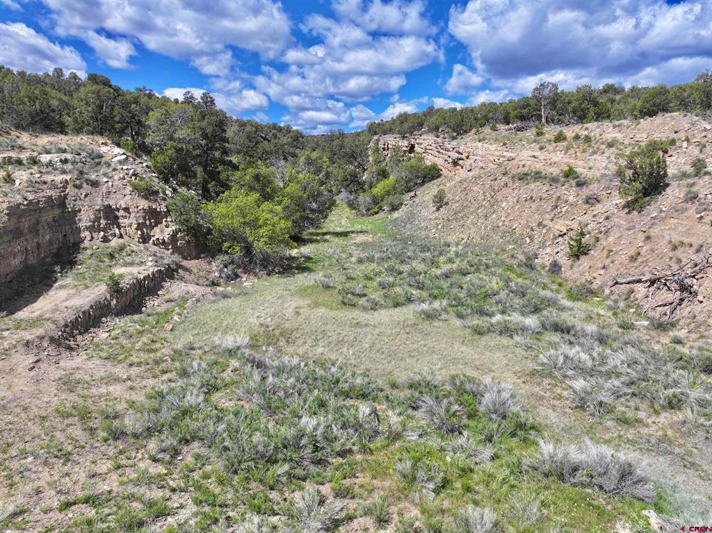 Tbd (Tract 4) Cr 1 Montrose CO 81403
