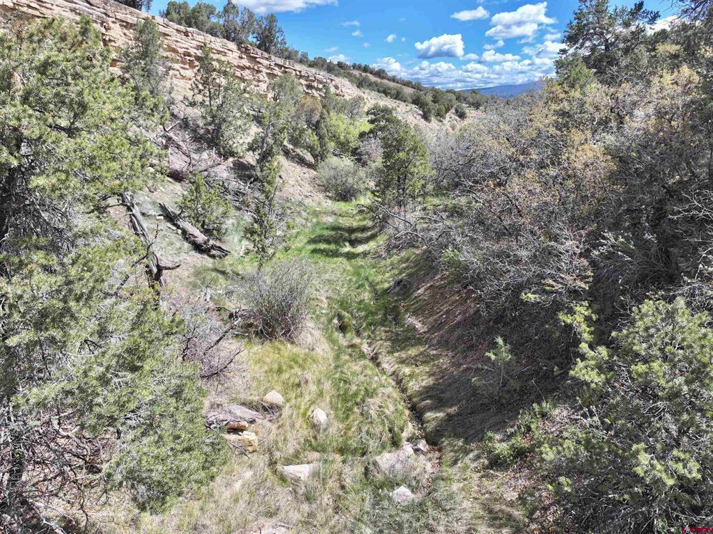 Tbd (Tract 4) Cr 1 Montrose CO 81403