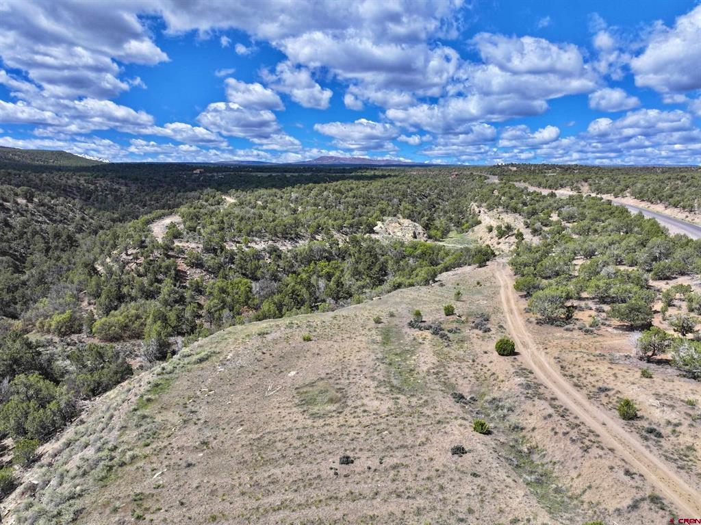 Tbd (Tract 4) Cr 1 Montrose CO 81403