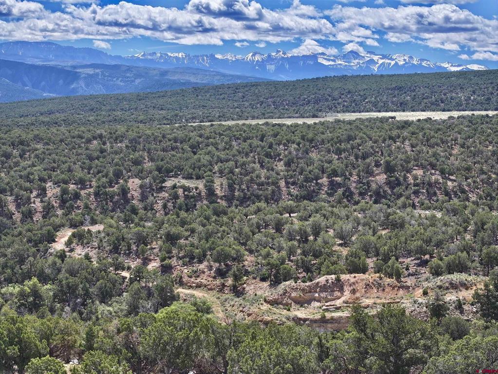Tbd (Tract 4) Cr 1 Montrose CO 81403