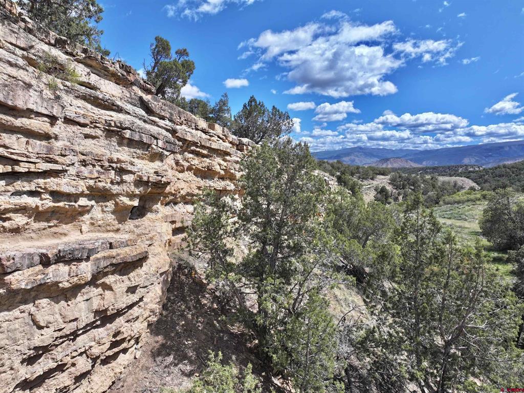 Tbd (Tract 4) Cr 1 Montrose CO 81403
