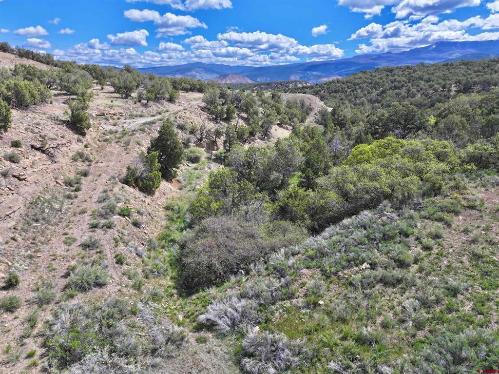 Tbd (Tract 4) Cr 1 Montrose CO 81403