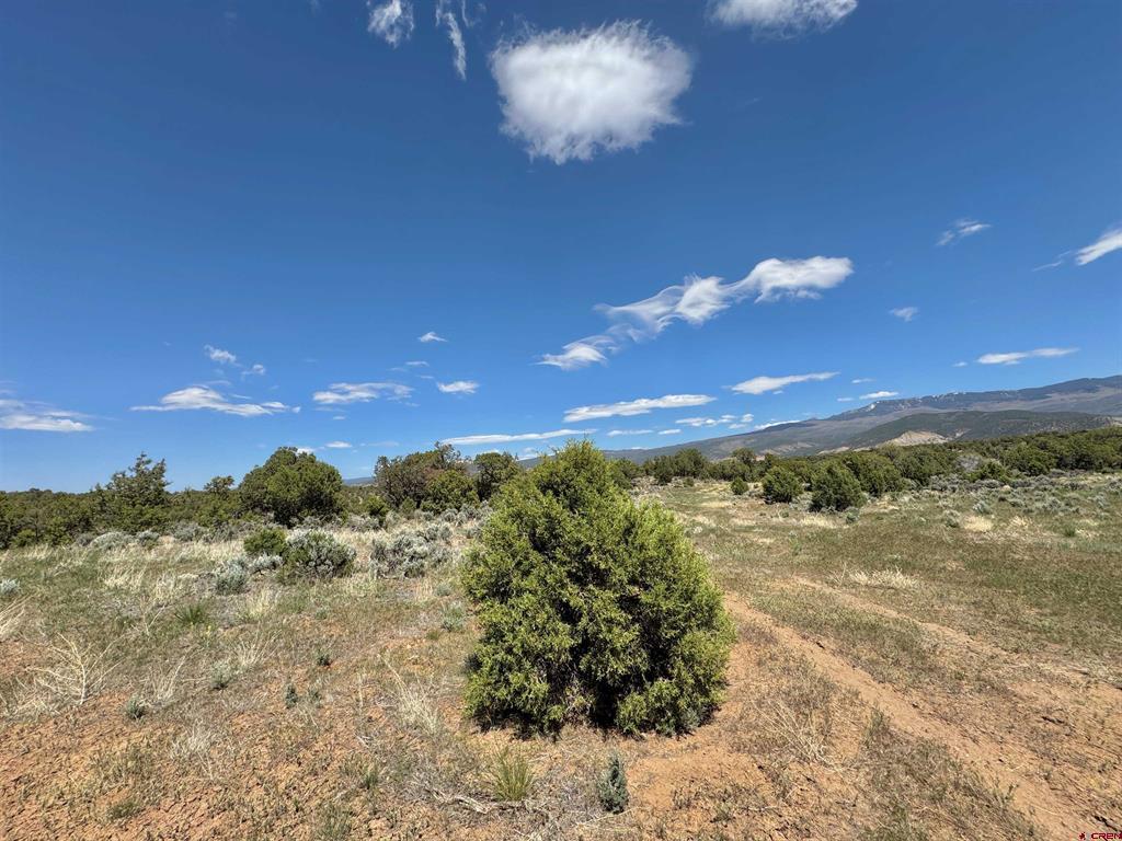 Tbd (Tract 4) Cr 1 Montrose CO 81403