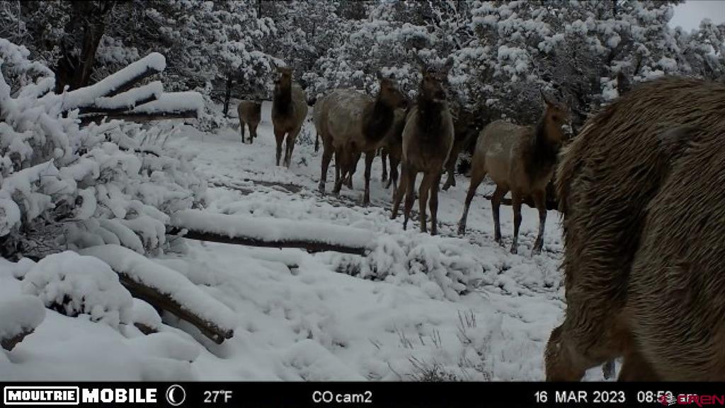 Tbd (Tract 4) Cr 1 Montrose CO 81403