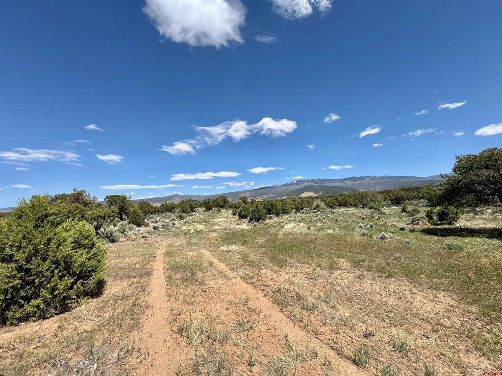 Tbd (Tract 4) Cr 1 Montrose CO 81403