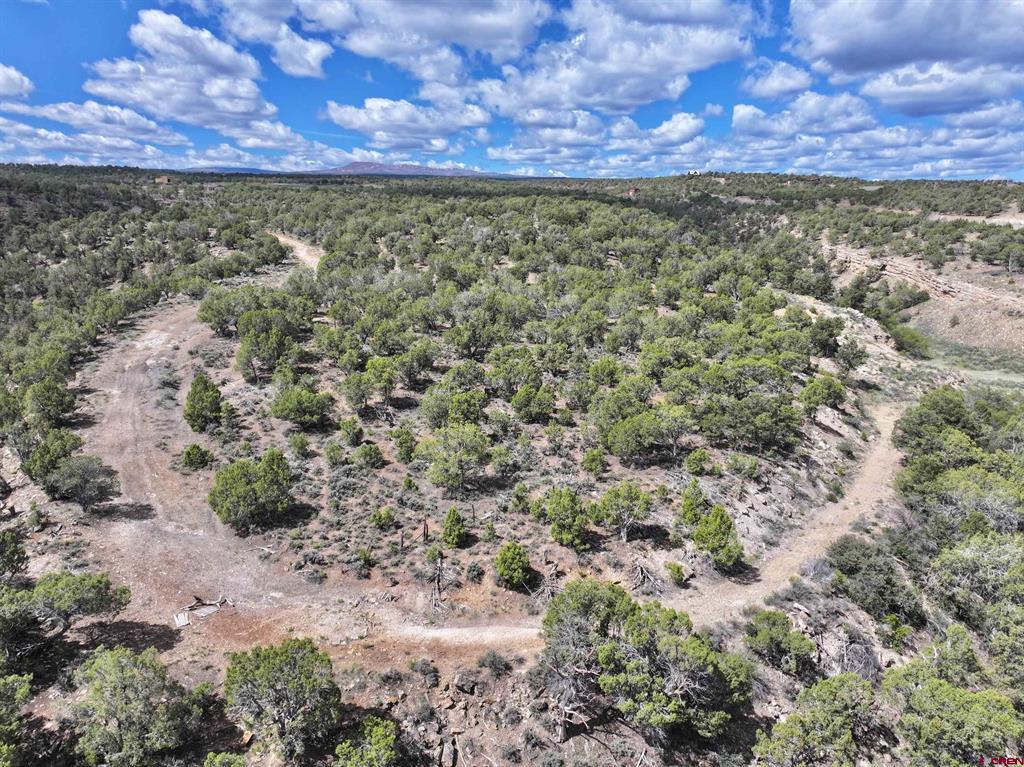Tbd (Tract 4) Cr 1 Montrose CO 81403