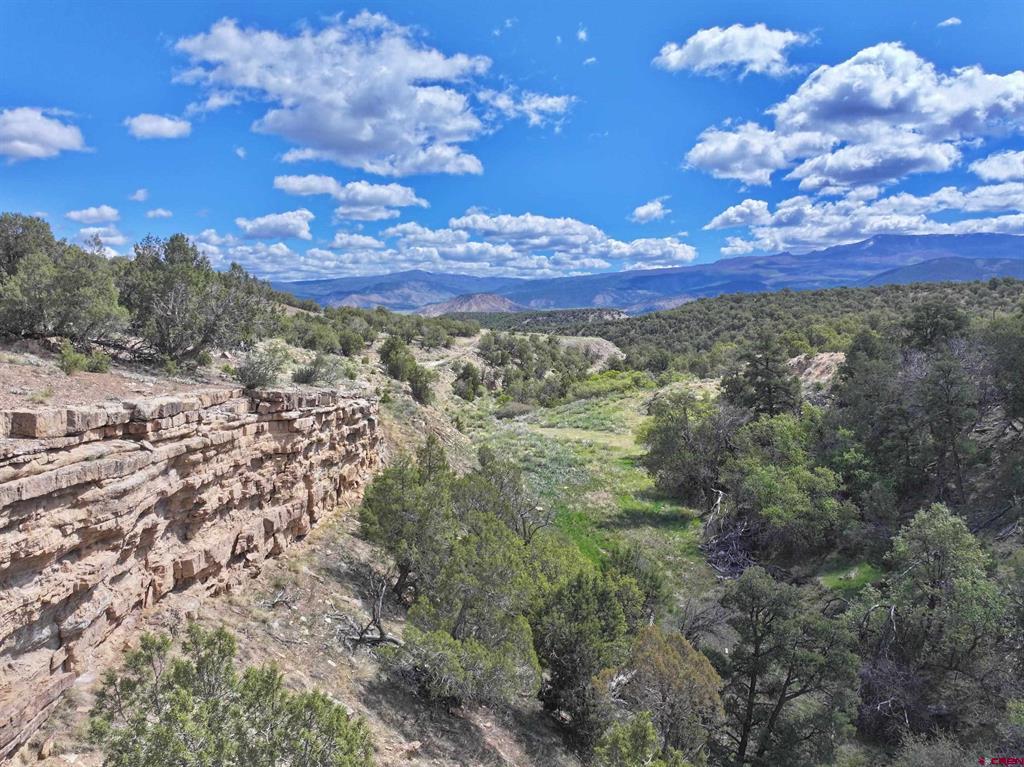 Tbd (Tract 4) Cr 1 Montrose CO 81403