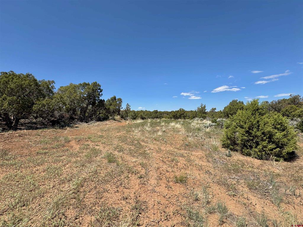 Tbd (Tract 4) Cr 1 Montrose CO 81403