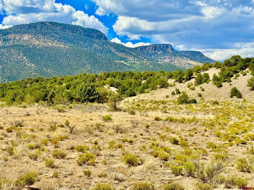 5351 County Road 15 South Fork CO 81154