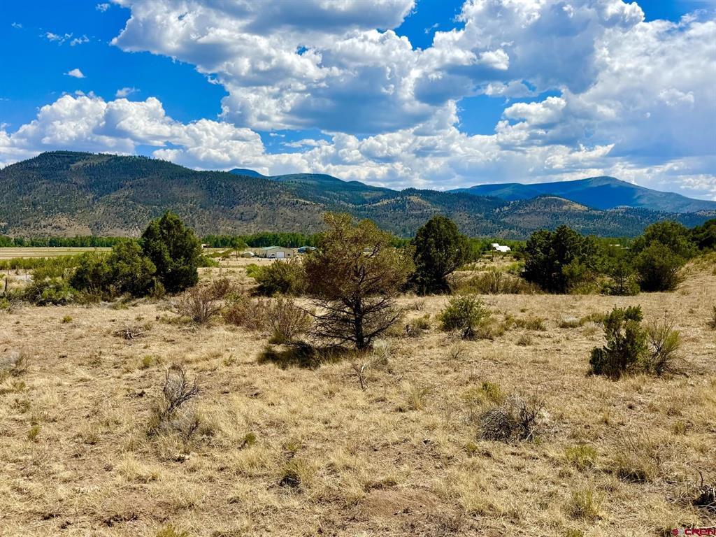 5351 County Road 15 South Fork CO 81154
