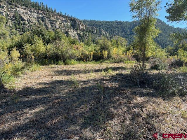 718 Estate Circle Pagosa Springs CO 81147