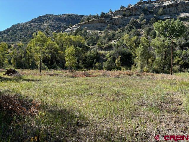718 Estate Circle Pagosa Springs CO 81147