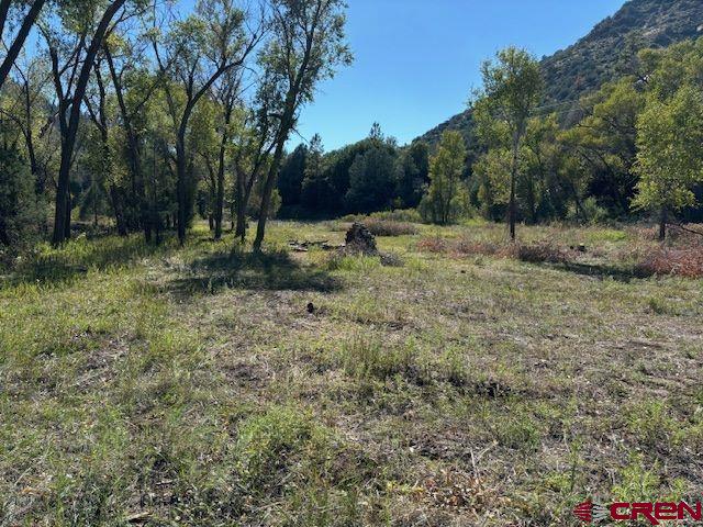 718 Estate Circle Pagosa Springs CO 81147