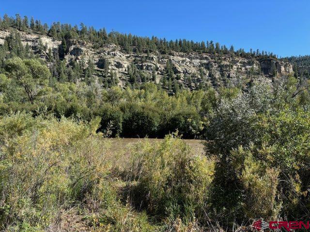 718 Estate Circle Pagosa Springs CO 81147